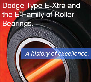 Dodge Type E Bearings